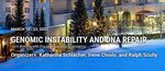 Keystone Symposia X1:  Genomic Instability and DNA Repair