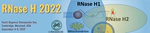 RNase H 2022
